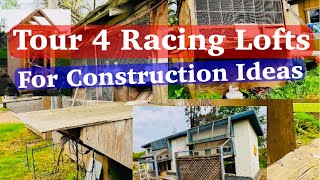 How to build a pigeon loft  Tour 4 different lofts for ideas [upl. by Ahsaeym152]