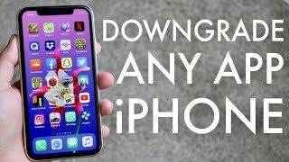 How To Downgrade ANY App On Your iPhone 2020 [upl. by Harbison]