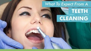 What To Expect From A Teeth Cleaning [upl. by Cilegna]