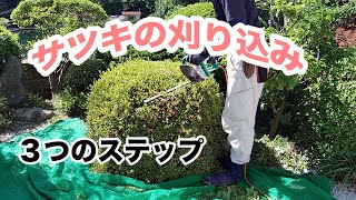 【電動バリカン】サツキの綺麗な刈り込み剪定を３ステップで解説します！【マキタMUH3652】 [upl. by Ennayehc751]