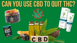 Can You Use CBD To Quit THC [upl. by Melodie]