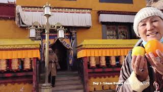 Lhasa Driving 4K Lhasa Drive Downtown from Intercontinental Hotel to Potala Palace 拉萨市区洲际到布达拉宫驾驶 [upl. by Kcirad812]