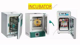 INCUBATOR USE IN MICROBIOLOGY LAB IN ENGLISH [upl. by Renwick]