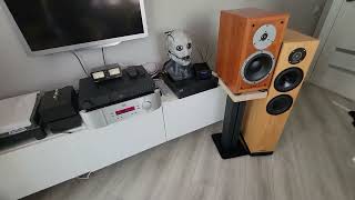 Spendor D72  Moon i7RS vs Naim 5i2 [upl. by Ahsenar]