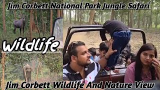 Jim Corbett National Park Jungle Safari [upl. by Armillas141]