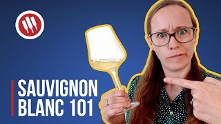 Sauvignon Blanc Everything you need to know  Grapes 101 [upl. by Ahcsap]