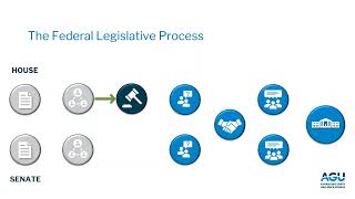 From Bill to Law The US Legislative Process [upl. by Blackman213]