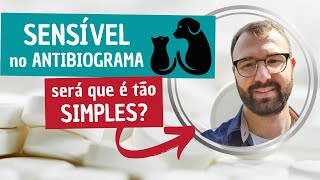 Tudo Sensível no Antibiograma está fácil [upl. by Alejandrina]