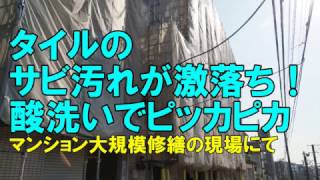 タイルのサビ汚れが激落ち！酸洗いでピッカピカ [upl. by Theo275]