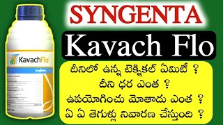 kavach flo fungicide uses in telugu  kavach flo technical name syngenta kavach flo fungicide price [upl. by Aharon837]