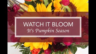 Watch It Bloom  Its Pumpkin Season [upl. by Lozar]