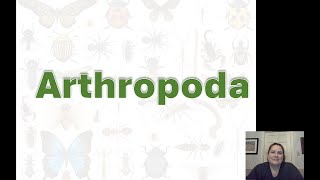 Arthropods Notes [upl. by Eehsar178]