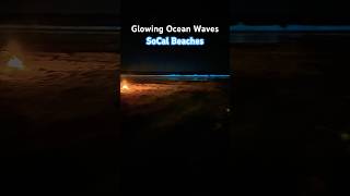 Bioluminescence at Southern California Beaches [upl. by Fitzpatrick881]