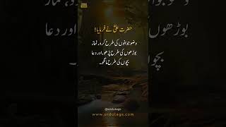 Hazrat Ali RAs Advice on Worship and Prayer [upl. by Oicinoid]