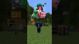 Les partenariats Douteux de minecraft [upl. by Alaaj51]