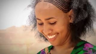 Tamrat Gebreslasie  50 Goma ሓምሳ ጎማ Traditional Tigrigna Music [upl. by Ibbetson]