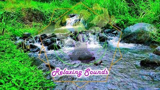 Relaxing Sounds Harmony  Water Sound and Calm Instrumental for Deep Sleep Stress Release Therapy [upl. by Marleah]