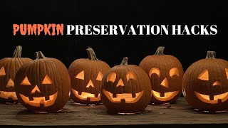 Learn How to Preserve a Carved Pumpkin 🎃 [upl. by Oivat]