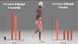 Cinesiologia aplicada às fases da marcha [upl. by Gabriell636]