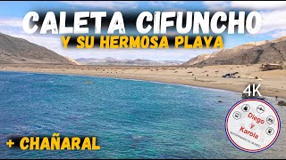 VISTAMOS CALETA CIFUNCHO Y CHAÑARAL  CHILE  4K [upl. by Nnaarual602]