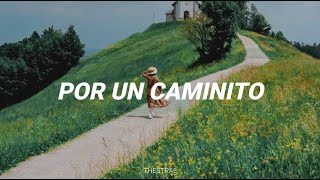 Por un caminito  Leo Dan  LETRA [upl. by Dal170]