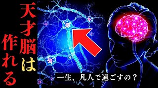 【内緒】天才の脳では〇〇が機能している！ギフテッドに生まれ変わる方法 [upl. by Einnil386]