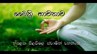 මෛත්‍රී භාවනාව  හසලක සීලවිමල හිමි [upl. by Hakon]