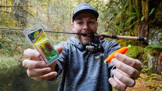 How To Fish TROUT MAGNETS In Creeks Or Rivers WE GOT A CUTTY [upl. by Rihat]