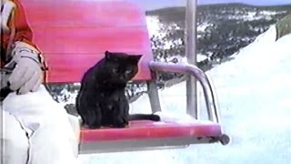 1999年頃のCM 黒猫なら蛙とき駱駝 クロネコヤマト往復宅急便 スキー [upl. by Otir]