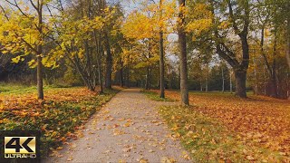 【4K】Herttoniemi Manor Park autumn walkaround  Helsinki 🍂 [upl. by Mallon]