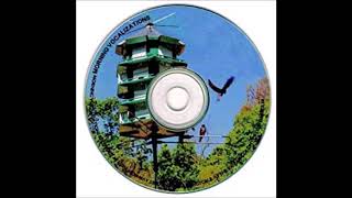 Morning Vocalizations CD 6 hour loop  Attract Purple Martins [upl. by Jentoft]