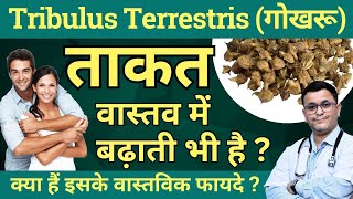 Gokhru ke fayde Tribulus Terrestris benefits Gokhru benefits Tribulus Q Homeopathic Medicine [upl. by Reffinnej]