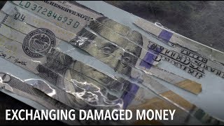 What happens with damaged US dollars  VOA Connect [upl. by Zirkle201]