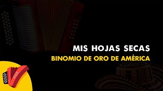 Mis Hojas Secas Binomio De Oro De América Vídeo Letra  Sentir Vallenato [upl. by Karlotta329]