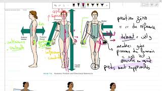 Anatomie 1ere année médecine COURS 1 introduction سنة أولى طب [upl. by Austina]