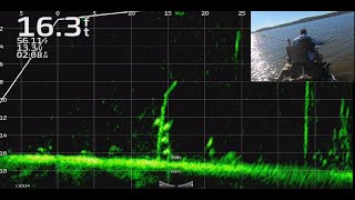 Crappie Fishing with Livescope Plus on Lake Darbonne FullScreen Livescope Throughout [upl. by Zerat]