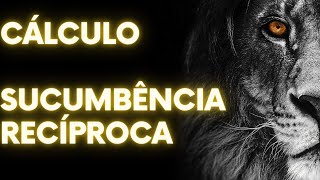 CÁLCULO SUCUMBÊNCIA RECÍPROCA  PROCESSO CIVIL [upl. by Naoma]