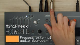 How to  MiniFreak  MiniFreak V  External Processing [upl. by Nauqel]