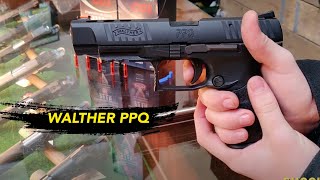 Walther PPQ M2 5quot 22  Review  SHOGUNNL [upl. by Kuehnel770]