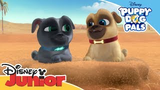 Puppy Dog Pals  Dig Song  Official Disney Channel Africa [upl. by Esertal]