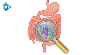 Liegt der Schlüssel zur Gesundheit im Darm [upl. by Ailimat]