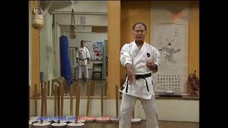 Kata Tensho GojuRyu [upl. by Weihs]