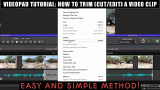 VideoPad Video Editor Tutorial How to Trim Cut  Edit a Video Clip [upl. by Hebbe]