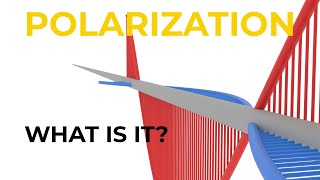 What is Polarization [upl. by Notlew993]