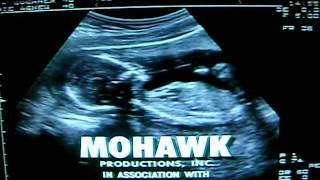 Job Site Productions Mohawk Productions Warner Bros Television [upl. by Tiffi]