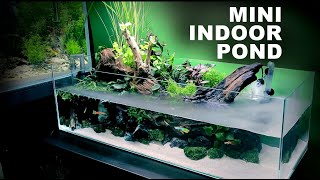 Aquascape Tutorial Indoor Mini Pond Aquarium How To Full Step By Step Guide Planted Fish Tank [upl. by Va]