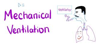 Mechanical Ventilation  Most COMPREHENSIVE Explanation 🤫 [upl. by Asil934]