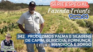 343 PRODUZIMOS PALMA E SILAGENS DE CAPIM GLIRICÍDIA PORNUNÇA MANDIOCA E SORGO  Parte 04 [upl. by Grishilde259]