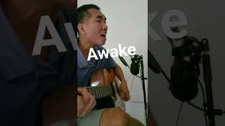 Awake  Secondhand Serenade [upl. by Tirrell]