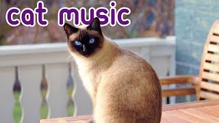 15 HOURS of Deep Stress Relief Cat Music Music to Help Your Cat Sleep [upl. by Ahsyad]